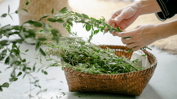 Embracing Herbal Wellness: Enhance Your Life with Nature's Remedies