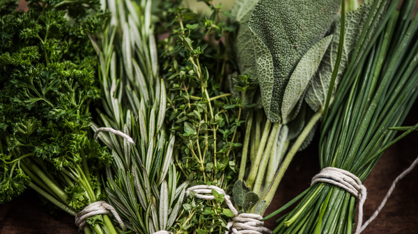 Herbs to Prepare Your Body for Winter Wellness