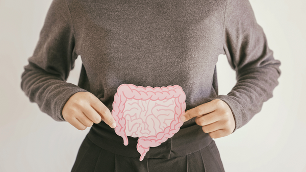 The Fascinating Connection Between the Gut and Brain