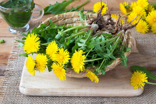 A basket of dandelions on a table